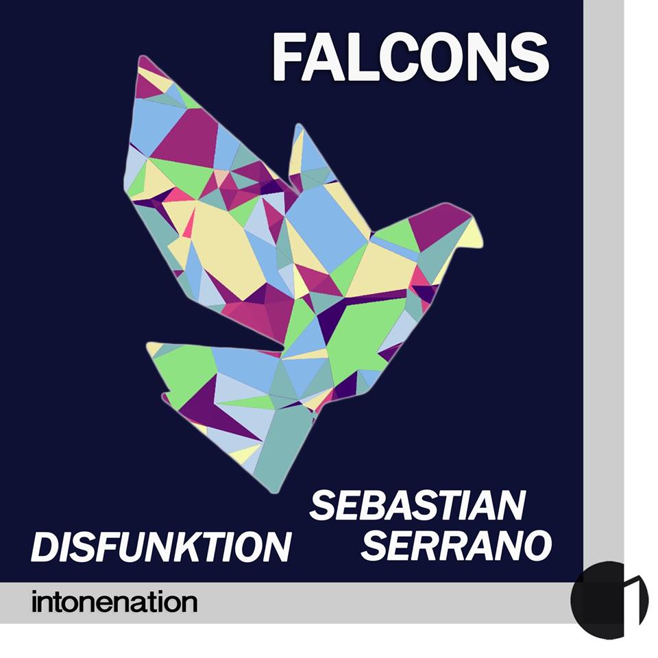 disfunktion-falcons-album-cover